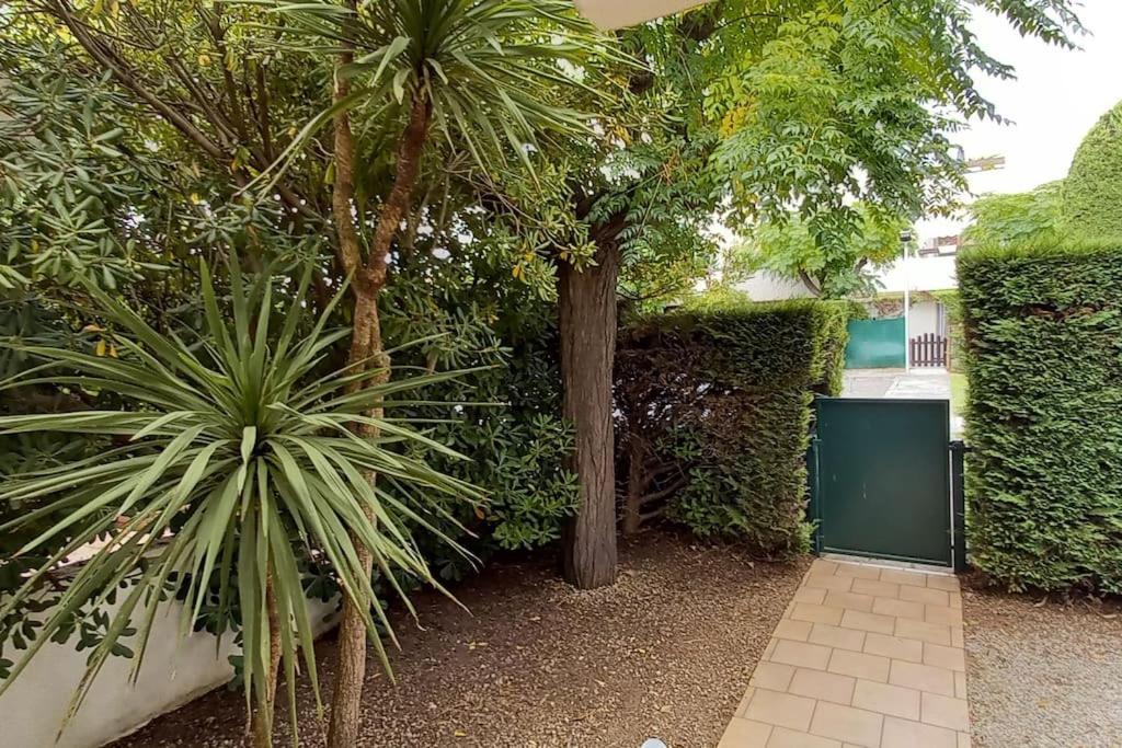 Location Grande Motte Vacances La Grande-Motte Exterior foto